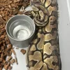Pastellfarbener Enchi Het Clown-Königspython