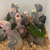 Gelbkopfamazone Deutschland – Kiwi, 1 Monat alt
